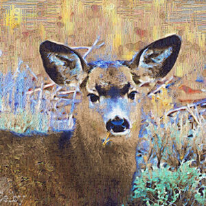 Fawn Artography