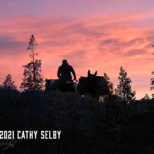 Man riding horses against the background of mountain sunrise