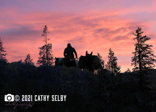 Man riding horses against the background of mountain sunrise