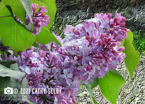 card with print of lilacs photo