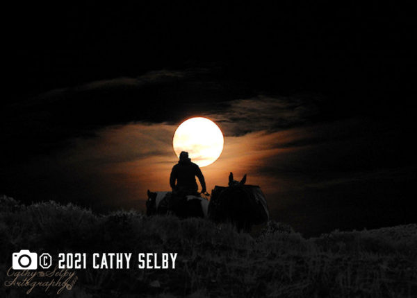 photo of man riding horseback at night