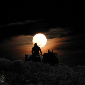 Nightrider artography