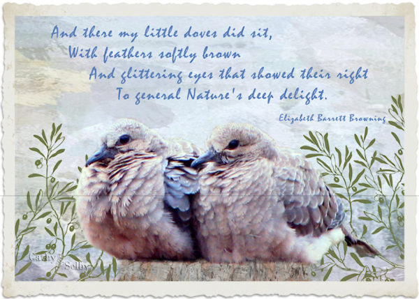 Doves on card created by Cathy Selby