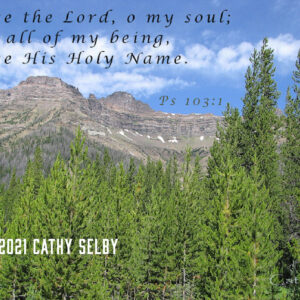 Praise The Lord 5 x 7 Card