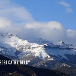 Ptarmigan 2 5 x 7 Card